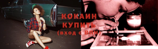 прущая мука Карпинск
