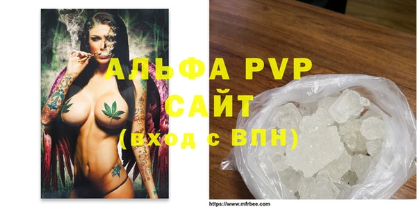крисы Каменка